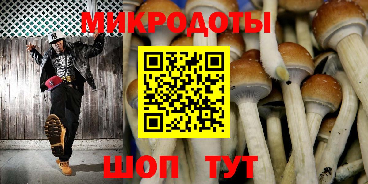 Псилоцибиновые грибы MAGIC MUSHROOMS Элиста