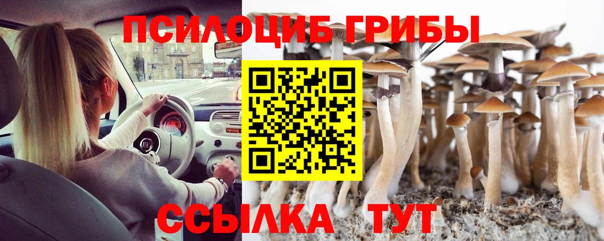 Элиста  Галлюциногенные грибы Psilocybine cubensis  купить  сайты  Вход с VPN 